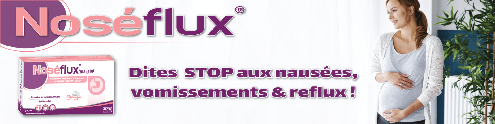 Banniers site noseflux DESMIAX ET NUTRIGEST Plan de travail 1 copie 25 copy 1