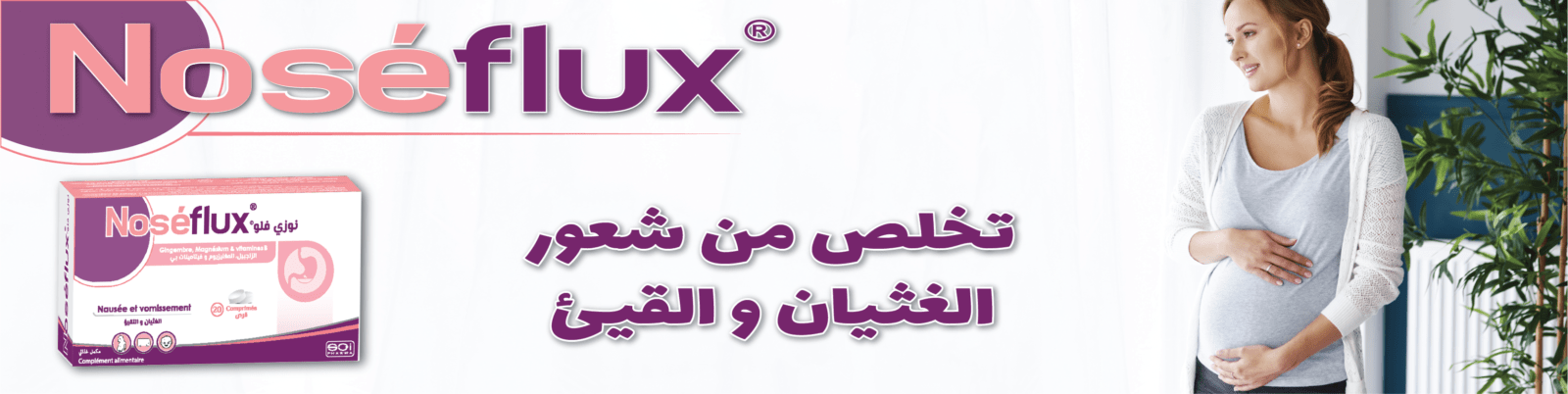 Banniers site noseflux DESMIAX ET NUTRIGEST Plan de travail 1 copie 25 copy 2 1